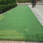 PHOTO-2026-03-08-18-17-05_4