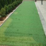 PHOTO-2026-03-08-18-17-05_5