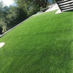 PHOTO-2026-03-08-18-17-06_4