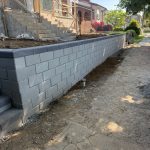 PHOTO-2026-03-08-18-21-20_8