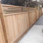 PHOTO-2026-03-08-18-22-42_1