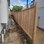 PHOTO-2026-03-08-18-22-42_2