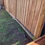 PHOTO-2026-03-08-18-22-42_3