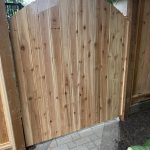 PHOTO-2026-03-08-18-22-43_1