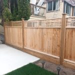 PHOTO-2026-03-08-18-22-43_2