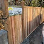 PHOTO-2026-03-08-18-22-43_3