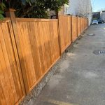 PHOTO-2026-03-08-18-22-43_5