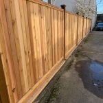 PHOTO-2026-03-08-18-22-43_7