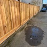 PHOTO-2026-03-08-18-22-43_8